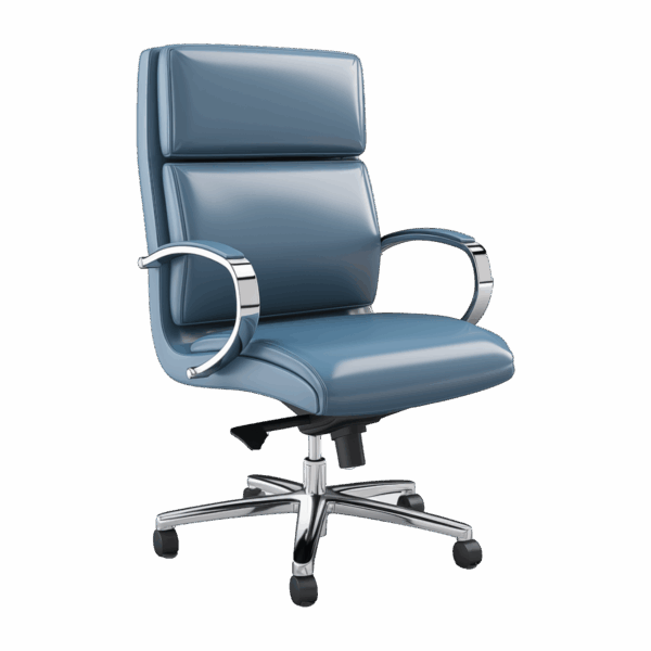 Executive Desk Chair